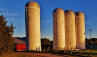 Beyond Silos:  Building a Collaborative Team Culture