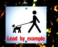Leaders Take Risks and Make Mistakes – er, Get Learning Opportunities