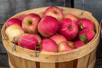 One Bad Apple Does Spoil the Whole Bunch: Firing Someone Who’s a Bad Fit